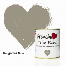 Trim Paint - Dangerous Dave 500ml