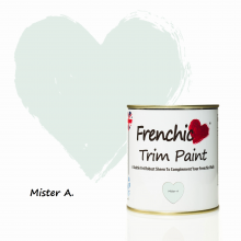 Trim Paint - Mister A. White 500ml