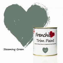 Trim Paint - Steaming Green 500ml